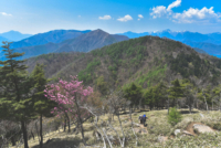 虫が少ないキャンプ場｜関東近郊の涼しい高原で夏も快適に